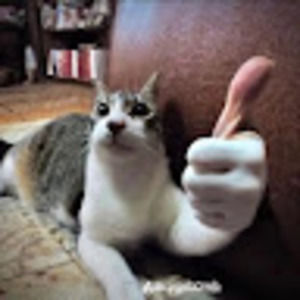 Meet your Posher, Clombart